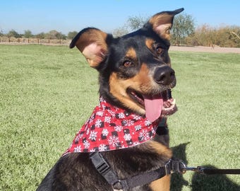 Handmade Reversible Over‑the‑Collar Pet Bandanas for Dogs. Machine Washable Fabrics