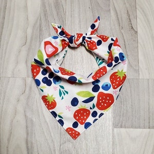 Strawberry and Blueberry Pet Bandana/Summer Dog Bandana