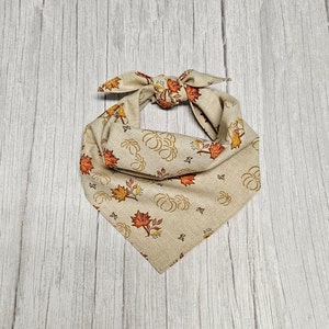 Pumpkin and leaves Dog Bandana/Fall Dog Bandana/Tie On Dog Bandana