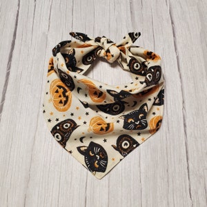 Halloween Dog Bandana: Black Cat & Pumpkin Tie-On
