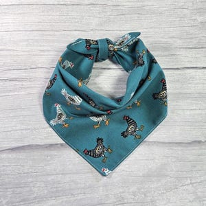 Teal Chicken Dog Bandana – Farmyard Fun Print