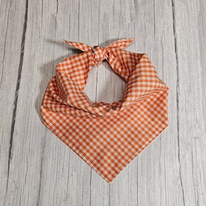 May include: Orange and white gingham bandana with a knotted design.
