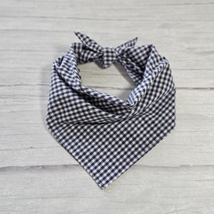 May include: A navy blue and white gingham bandana with a knotted tie.