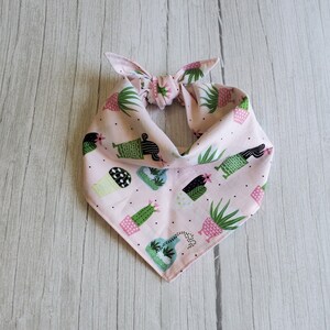 Cactus Dog Bandana/Pink Dog Bandana/Tie On Bandana