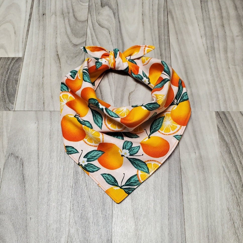 Orange Dog Bandana
 Orange Dog Bandana tie on Bandana Etsy