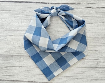 May include: A blue and white gingham bandana with a knotted tie.
