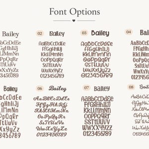 Op de afbeelding: Een tabel met de titel Font Options met acht verschillende bruine typografische stijlen, genummerd van 01 tot 08. Elke optie bevat de naam Bailey, gevolgd door het volledige alfabet in hoofdletters en kleine letters en de cijfers 0 tot 9.