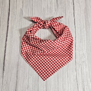 May include: Red and white gingham bandana with a knotted design.