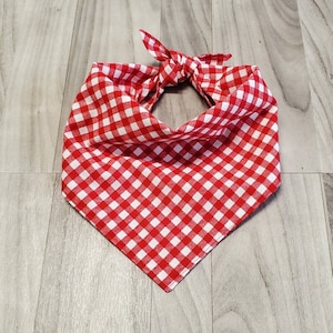 May include: Red and white gingham bandana with a knotted tie.