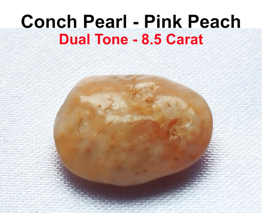 Natural Pink Peach Conch Pearl