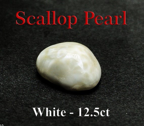 Natural Scallop Pearl- Non Nacreous - 12.5ct - Etsy