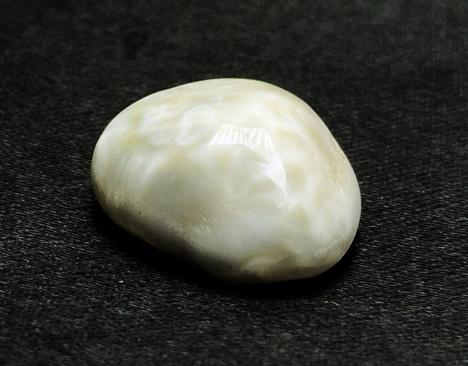 Natural Scallop Pearl- Non Nacreous - 12.5ct - Etsy Natural Scallop Pearl- Non Nacreous - 12.5ct - Etsy