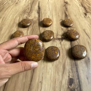 May include: A collection of polished, oval-shaped stones with intricate patterns in shades of brown and yellow. The stones are displayed on a wooden surface, with one stone held in a hand.