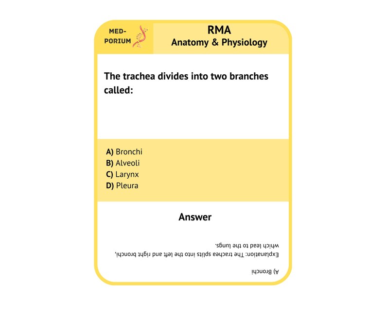 RMA (AMT) Exam Flashcards: Anatomy and Physiology - Etsy