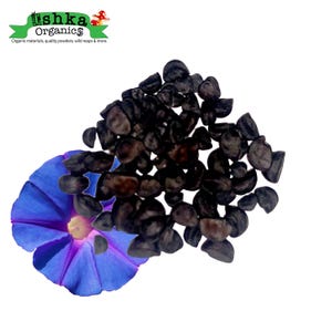 May include: A pile of dark brown seeds, likely for planting, with a blue morning glory flower in the foreground. The flower has a white centre and purple veins.