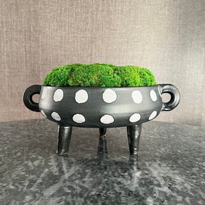 Preserved Moss Dough Bowl Centerpiece 9”x5” – HollyBee and Company