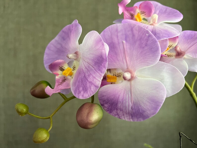 LUXE NURTURING HANDS, Iron Hands, Real Touch Orchids, Faux Floral