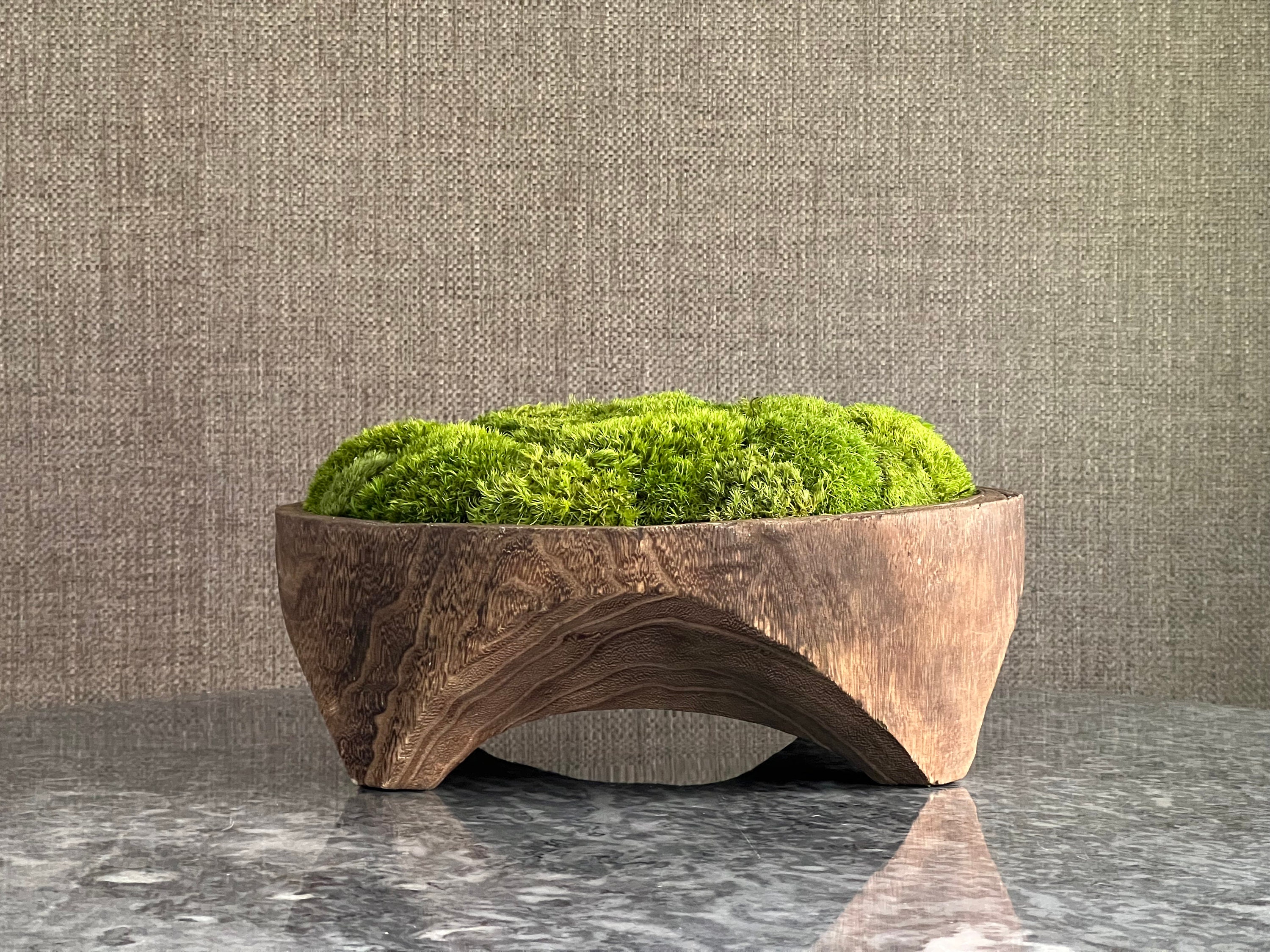 Preserved Moss Centerpiece, Paulownia Wood Moss Bowl, Table Decor