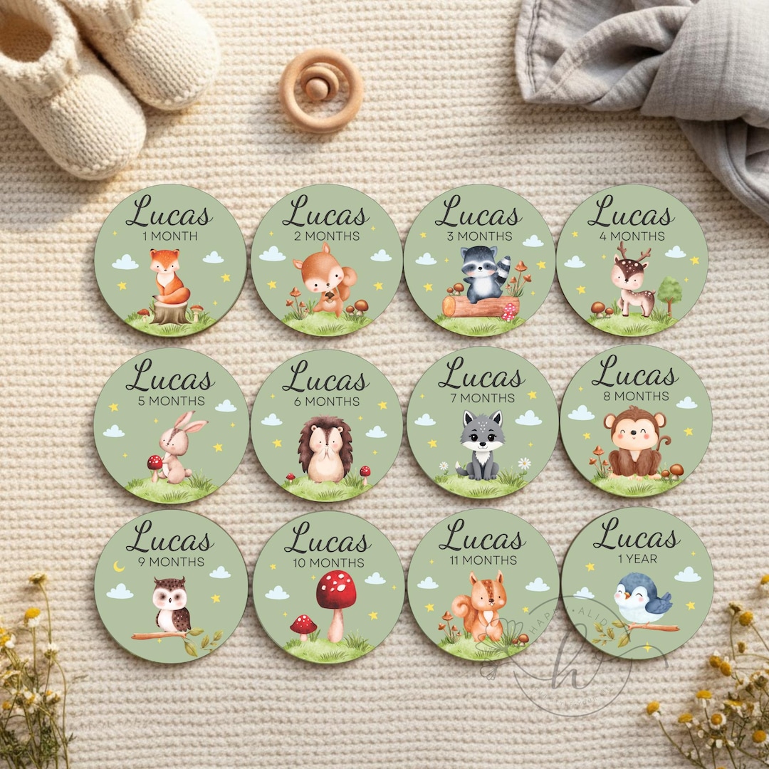 Personalized Woodland Animals Baby Milestone Discs | 1-12 Months Photo ...