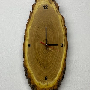Könnte beinhalten: Eine rustikale Wanduhr aus Holz mit natürlicher Kante. Das Zifferblatt ist ein Querschnitt eines Baumstamms mit sichtbaren Jahresringen. Schwarze Ziffern markieren die Stunden, mit schwarzen Stunden- und Minutenzeigern und einem roten Sekundenzeiger. Die Uhr ist etwa 30 cm hoch.