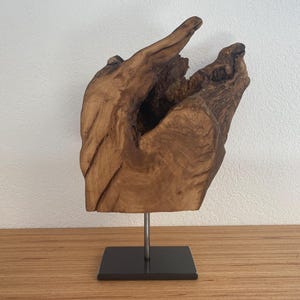 Könnte beinhalten: Eine Skulptur aus naturbelassenem braunem Holz mit einer hohlen Mitte und organischen, strukturierten Maserungen. Das Objekt ist auf einem dünnen, vertikalen silbernen Metallstab montiert, der auf einem flachen, quadratischen schwarzen Metallsockel steht.