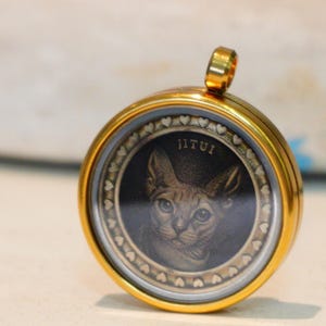 Customized Engraved Coin, Portrait Personalized Pet Portrait Coin Pendant,Pet Jewelry Keepsake Tag,Custom Pet Coin Necklace,999 silver image 1