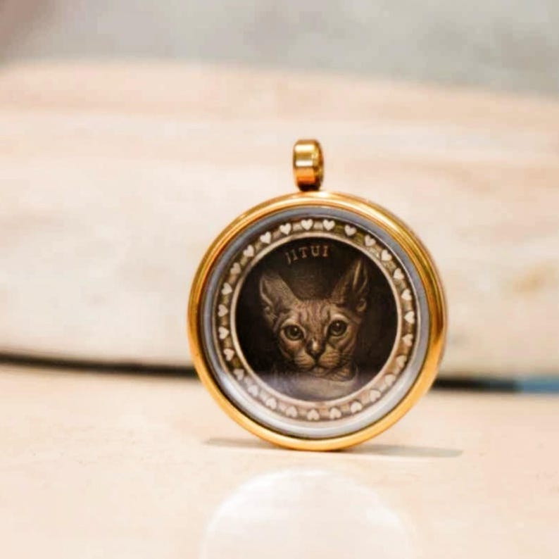 May include: A round, gold-toned pendant featuring a detailed portrait of a cat. The cat is brown with large ears and expressive eyes. The pendant has a decorative border and the word "JITUI" is visible.