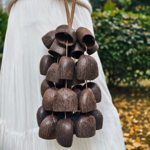 Handmade Fruit Shell Rattle Natural Nut Shell Shaker Meditation Sound, Concert, Salin Shell, Gift for Friends Therapist, Sound Therapy