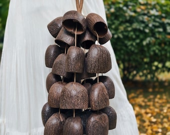 Handmade Fruit Shell Rattle Natural Nut Shell Shaker Meditation Sound, Concert, Salin Shell, Gift for Friends Therapist, Sound Therapy