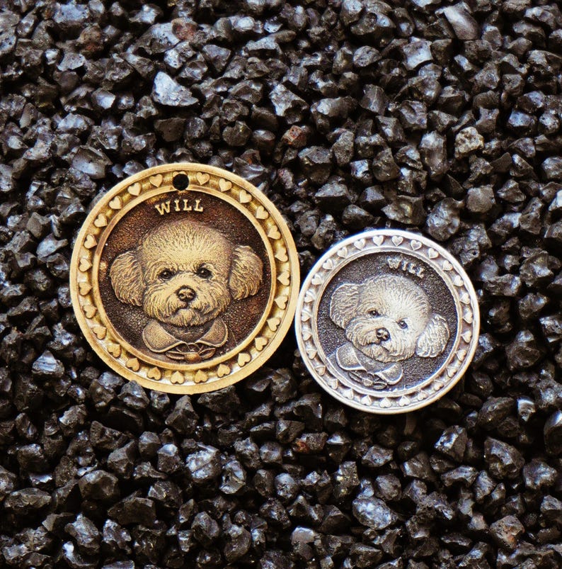 May include: Two metal pet tags with a dog portrait. One tag is bronze-colored, the other is silver. Both tags have the name "WILL" at the top. The tags are round with a heart-shaped border and a small hole at the top.
