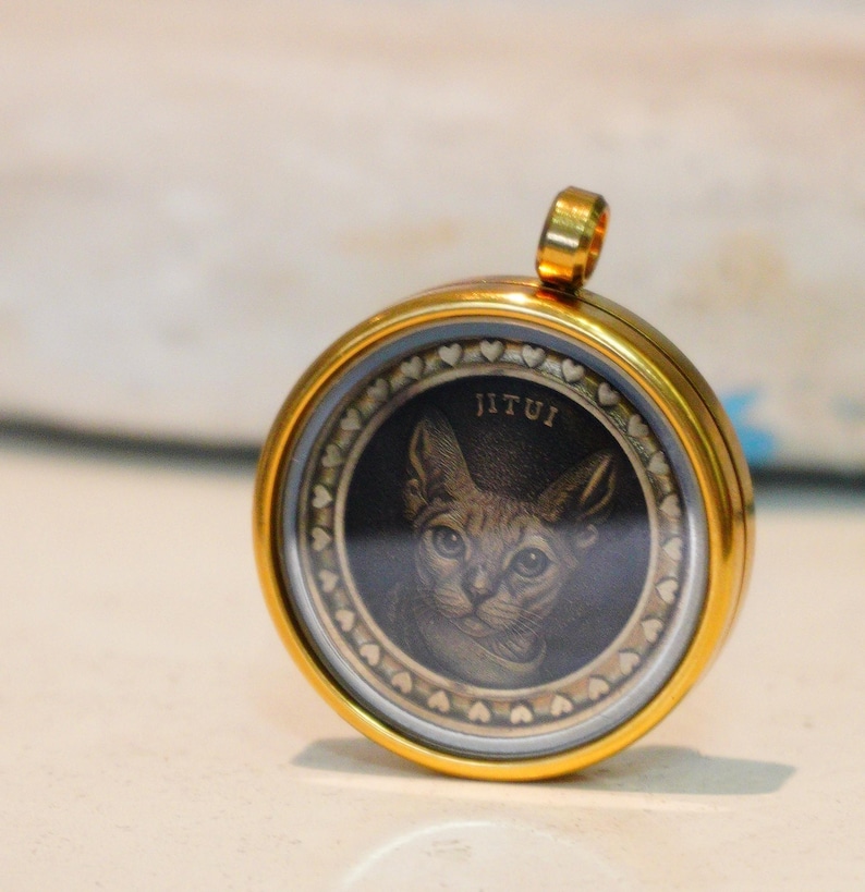 Customized Engraved Coin, Portrait Personalized Pet Portrait Coin Pendant,Pet Jewelry Keepsake Tag,Custom Pet Coin Necklace,999 silver image 1
