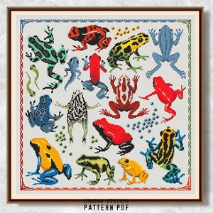 Könnte beinhalten: Kreuzstichmuster mit verschiedenen bunten Fröschen, darunter rote, blaue, grüne, gelbe und schwarze Frösche. Das Muster ist von einem roten und blauen Rand umgeben.