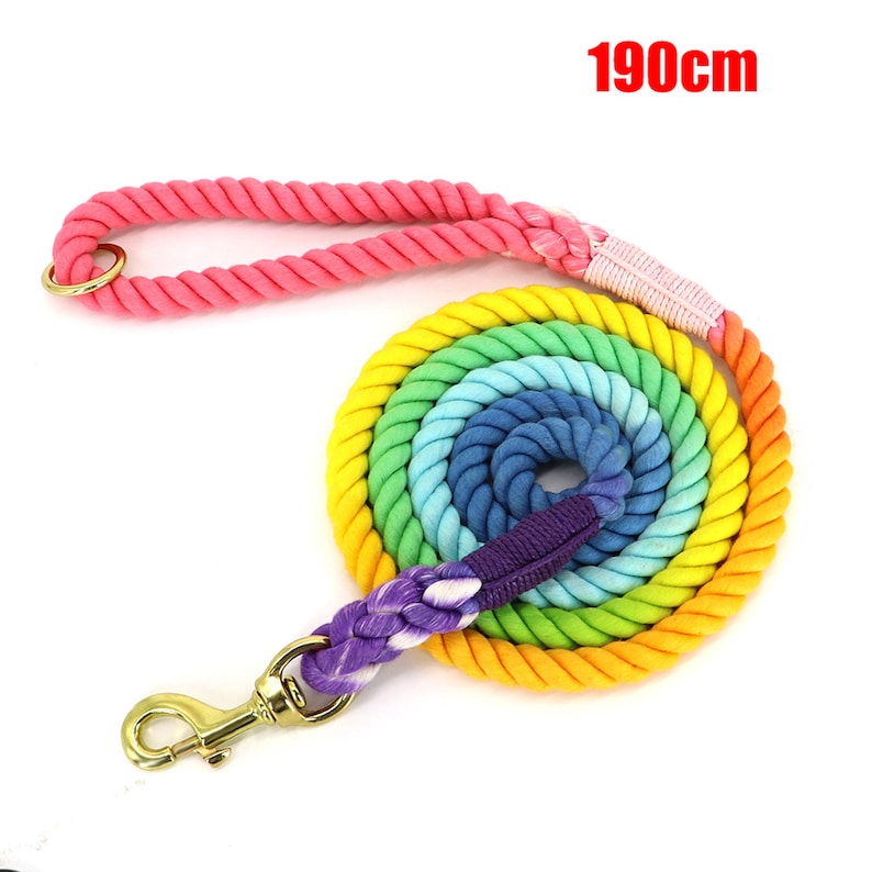 Correa de perro de cuerda Ombre colorida, correa de cuerda de algodón, correa de mascota arco iris, correa de entrenamiento para pasear perros imagen 7