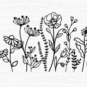 Wild flower svg, Floral svg