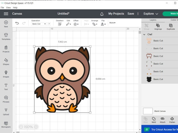 Baby Owl SVG