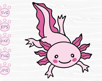 Può includere: Un assoloto rosa disegnato in stile cartoon con contorni neri e grandi occhi rotondi. L'assoloto ha un ampio sorriso ed è raffigurato con branchie piumate.