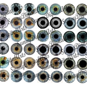 Pode incluir: Um conjunto de 36 imagens digitais de olhos, cada uma com uma cor e padrão diferente. Os olhos são todos redondos e têm uma aparência realista. São perfeitos para usar em arte digital, scrapbooking e outros projetos criativos.