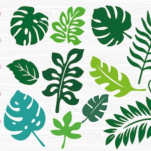 Op de afbeelding: Een set van 12 digitale snijbestanden met verschillende bladontwerpen. De bladeren zijn in tinten groen en blauw, en sommige hebben een meer gedetailleerd, ingewikkeld ontwerp. Deze bestanden zijn perfect voor knutselprojecten, zoals het maken van stickers, kaarten of scrapbookingpagina's.