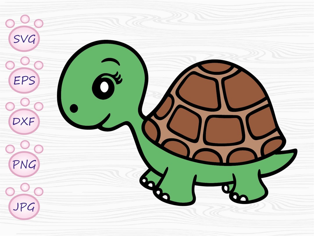 Baby Schildpad SVG - Etsy België, image size:1080x812