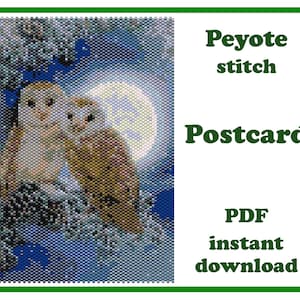 Corujas de Cartão Postal | Padrão para Cartão Postal com Contas | Arte de Parede com Padrão de Peiote | Tapeçaria com Contas | para Miyuki Delica | Download Instantâneo em PDF