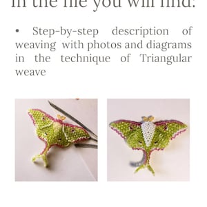 Beaded Luna moth tutorial with photo and diagrams — Triangular weave technique PDF