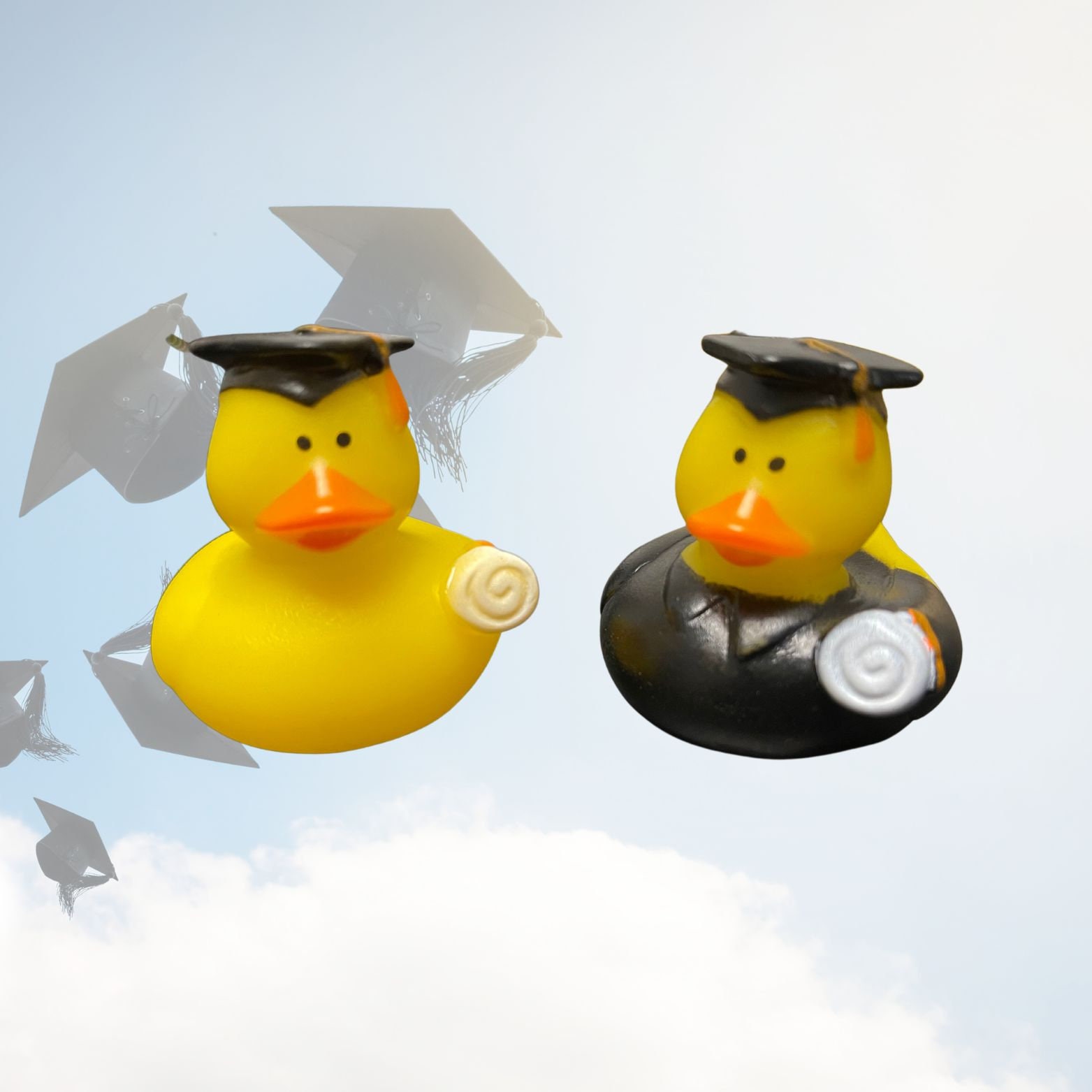 Graduation Ducks 2. Cruising Ducks. Jeepjeep Etsy