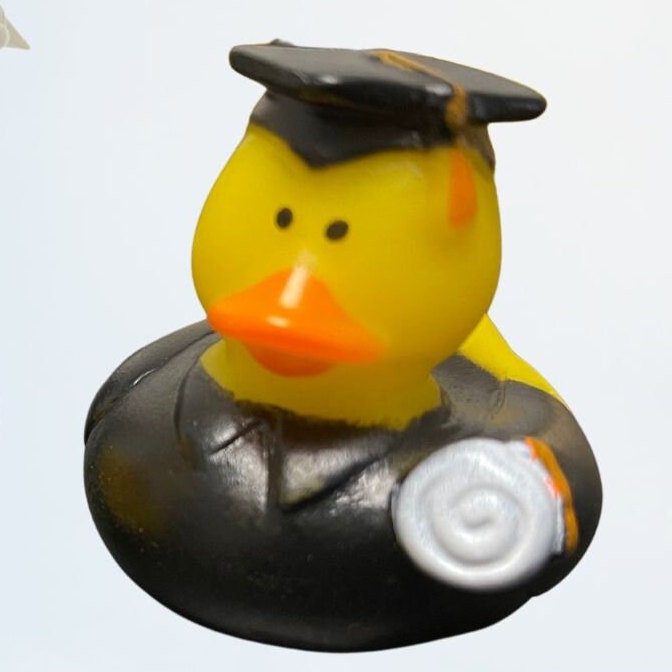 Graduation Ducks 2. Cruising Ducks. Jeepjeep Etsy
