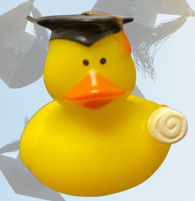 Graduation Ducks 2. Cruising Ducks. Jeepjeep Etsy