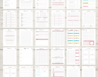 May include: A printable planner with pages for daily, weekly, and monthly planning. The pages are decorated with floral illustrations and pink accents. The planner includes sections for tracking goals, appointments, and expenses.