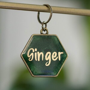 Op de afbeelding: Een groene zeshoekige huisdiertag met een gouden metalen frame en de naam "Ginger" in gouden letters.