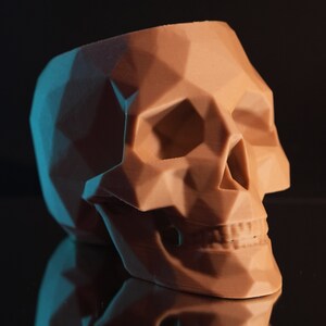 Polygon Skull Planter Pot | Home Decor | Indoor Planter Pot | Spooky Planter Pot | Succulent Planter Pot | Drainage | 3D Printed | Colors!