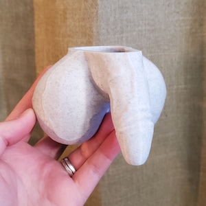 Male Organ Planter Pot
