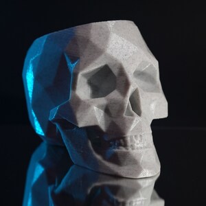 Polygon Skull Planter Pot | Home Decor | Indoor Planter Pot | Spooky Planter Pot | Succulent Planter Pot | Drainage | 3D Printed | Colors!