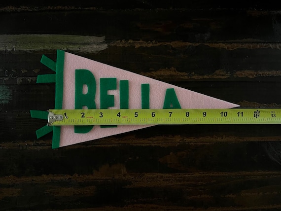 personalized name, custom dorm room pennant, roommate, dorm decor, college, preppy, door sign, wall art, grad gift, sorority, pink green